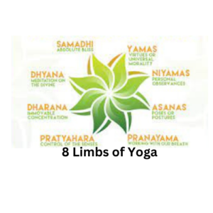 8 Limbs of Yoga