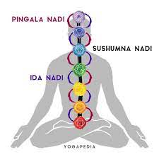 A person with seven chakras on their back