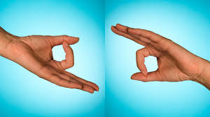 Gyan Mudra and Chin Mudra