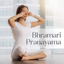 What is Bhramari Pranayama?